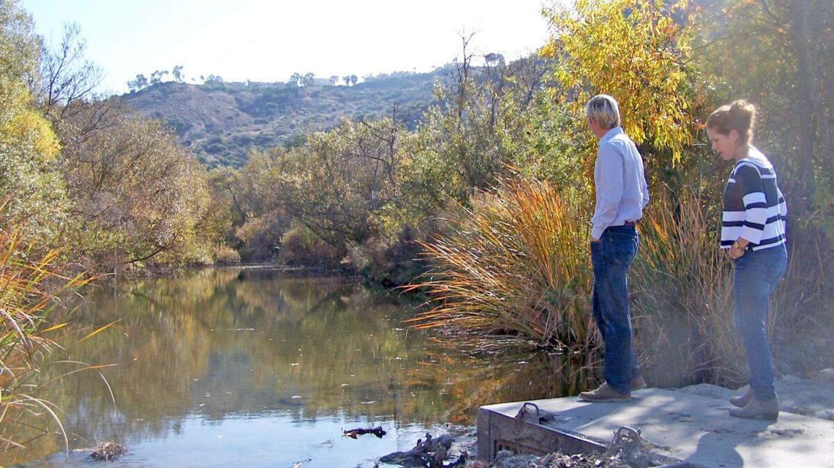 Laguna Canyon Foundation board member Derek Ostensen, left, and Hallie Jones, the foundation’s executive director, are working on an alternative restoration plan for a 5-mile section of the Aliso Creek watershed.