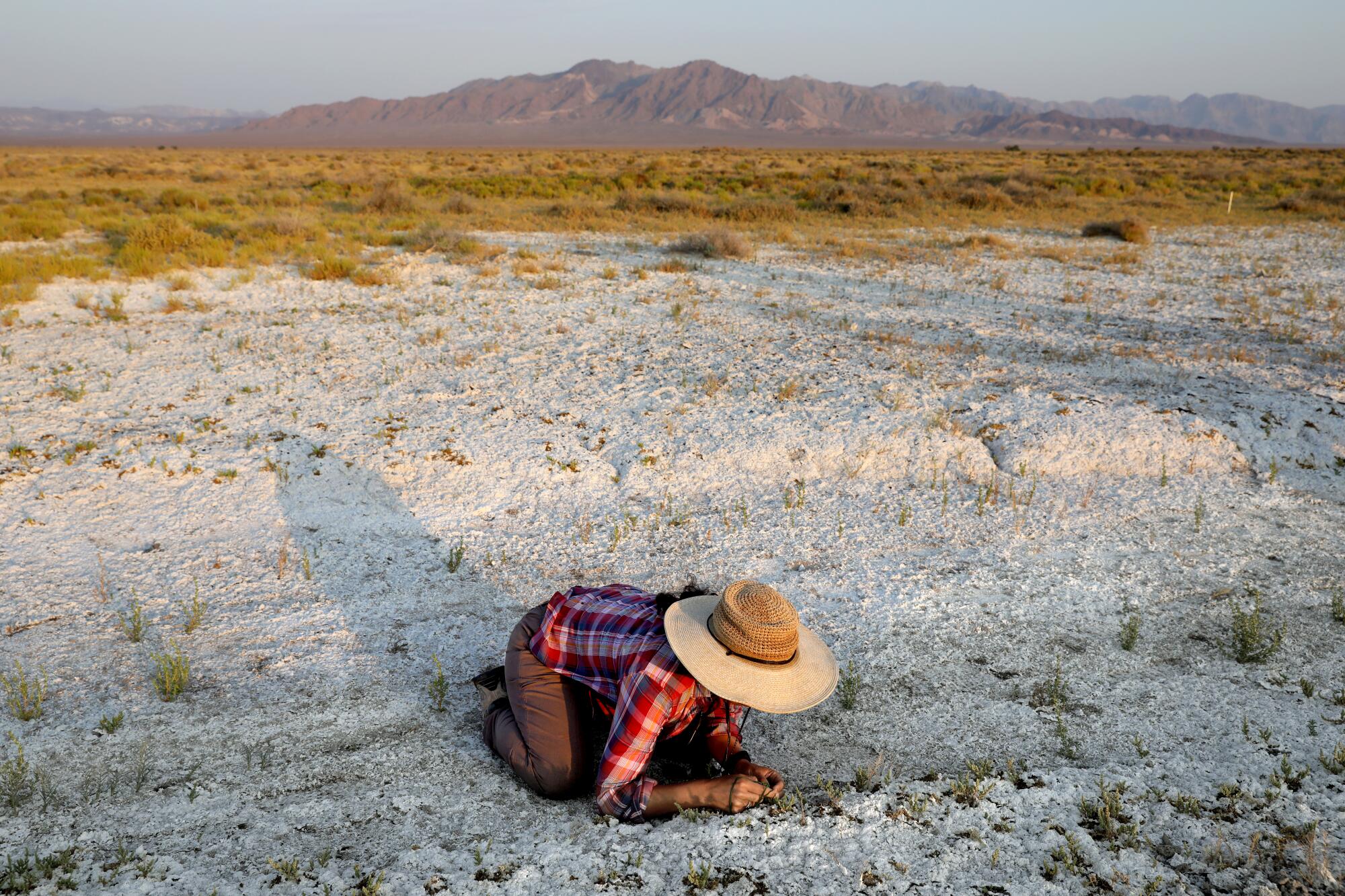 A woman in long sleeves and wide-brimmed hat kneels on a desert salt patch