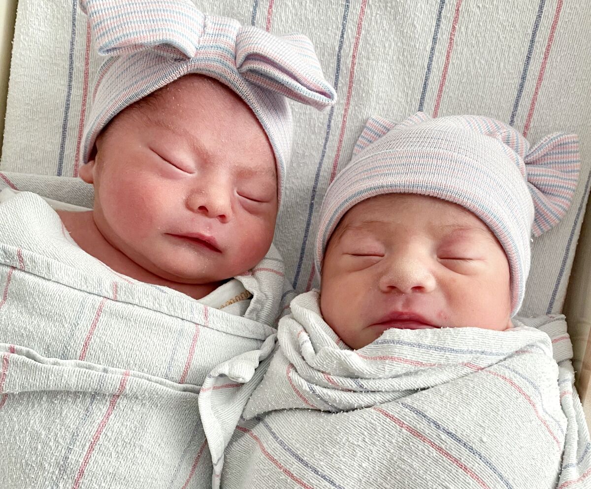 Newborn twins wrapped in hospital blankets