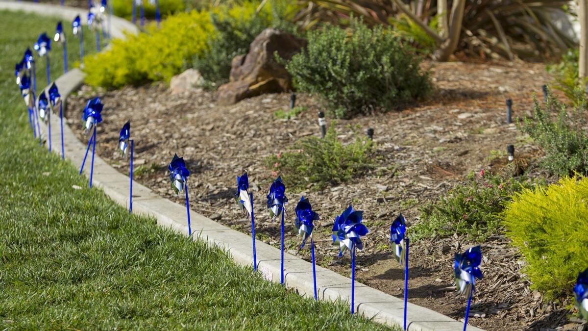 Lake View Elementary students placed these pinwheels on Wednesday as part of a child abuse-prevention campaign.