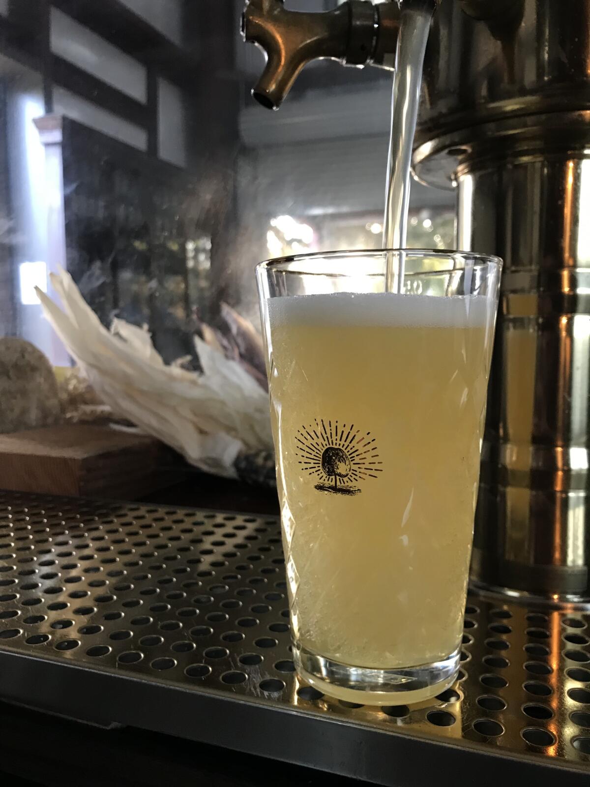 A golden cider is poured into a Calico Cidery glass from a bar tap