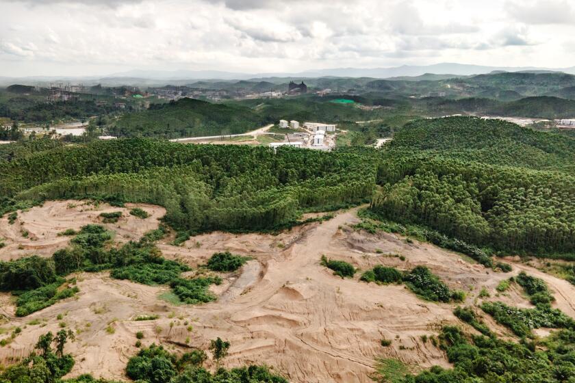 Sepaku Village, Sepaku District, North Penajam Paser, East Kalimantan - July, 24th 2024. A new national palace called Garuda Palace is seen in the ongoing development of Ibu Kota Nusantara (IKN), the new capital city of Indonesia. This area was built on a production forest of Eucalyptus or a paper pulp tree. The development was planned to be temporarily wrapped on August 10th as Indonesia prepared for its Independence Day on August 17th 2024.