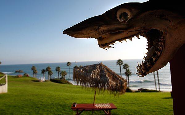 A shark is among the eclectic decor at the Spanish-style Beachcomber Hotel.