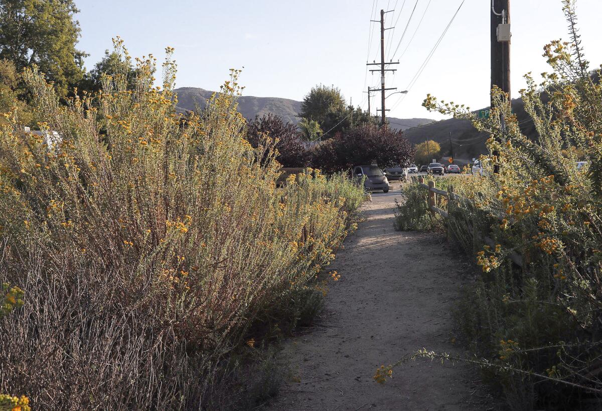 A path on the DeWitt property in the Laguna Canyon.