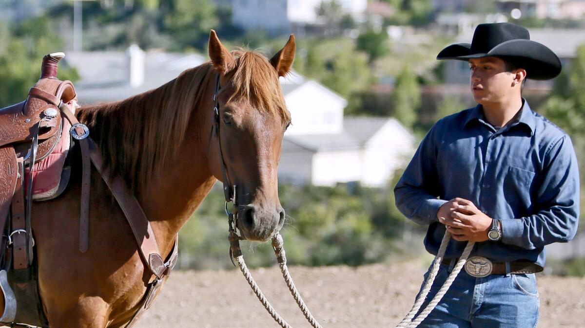 Roberto Flores and his 6-year-old mustang Lucky Little Sparrow will be heading to Reno, Nev., on June 24 to compete in the Extreme Mustang Makeover.