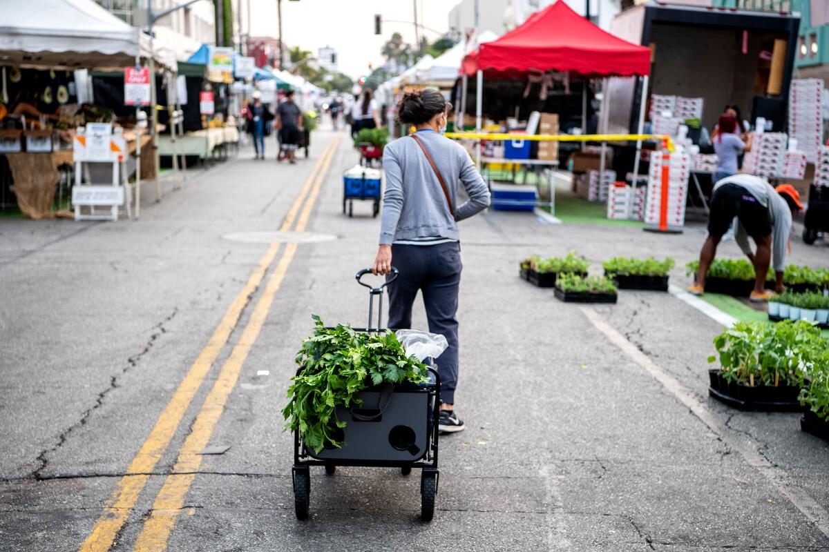 A shopper tows a cart full of produce at the Santa Monica Farmers Market.