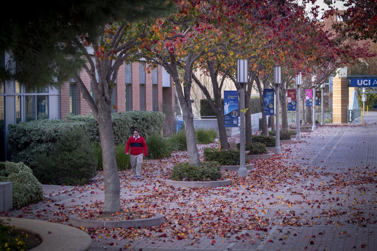 A person walks down a pathway at UC Irvine. 