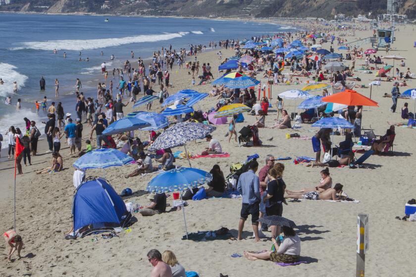 Crowds flocked to the beach near the Santa Monica pier as temperatures soared to 80 degrees in early March. Los Angeles and San Diego are among the top spring break destinations this year, according to the AAA.