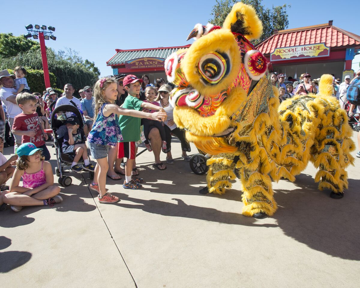 Lion dancers perform at SeaWorld's Lunar New Year Celebration.