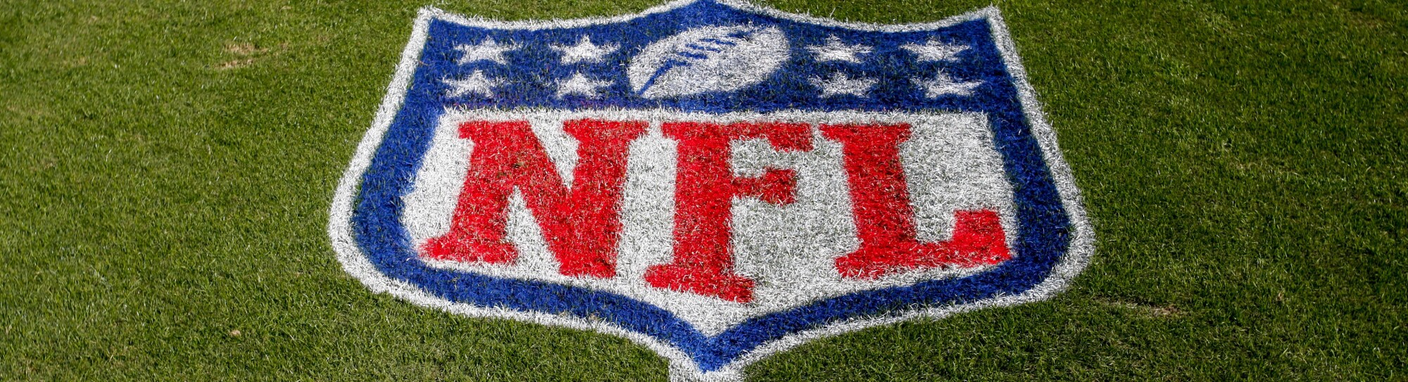NFL logo on the field at the Bank of American Stadium before an NFL football game between the Tampa Bay Buccaneers and the Carolina Panthers in Charlotte, N.C., Sunday, Nov. 4, 2018. (AP Photo/Nell Redmond)