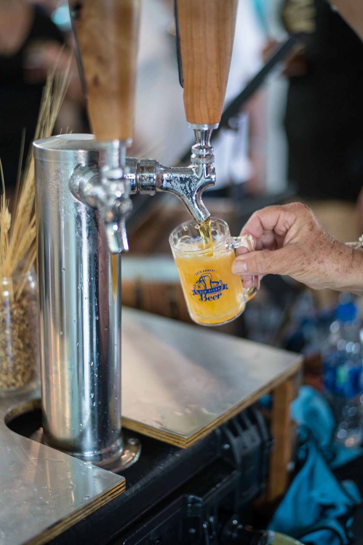 A photo of San Diego Festival of Beer