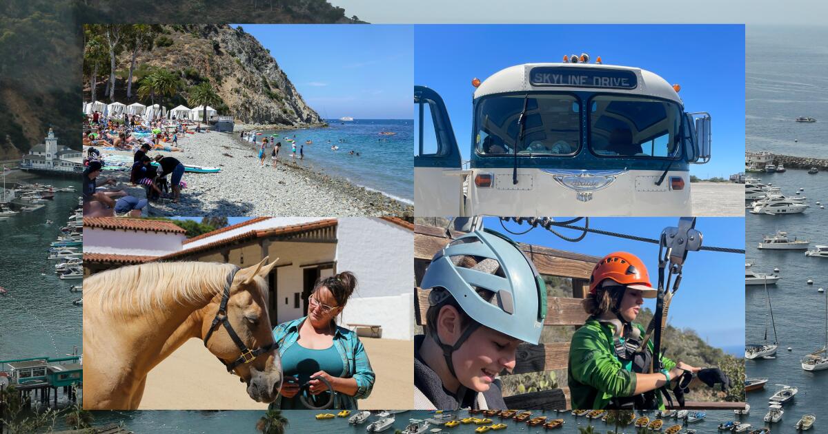 9 coisas novas e desconhecidas para fazer em Avalon, Ilha Catalina 9 coisas novas e desconhecidas para fazer em Avalon, Ilha Catalina