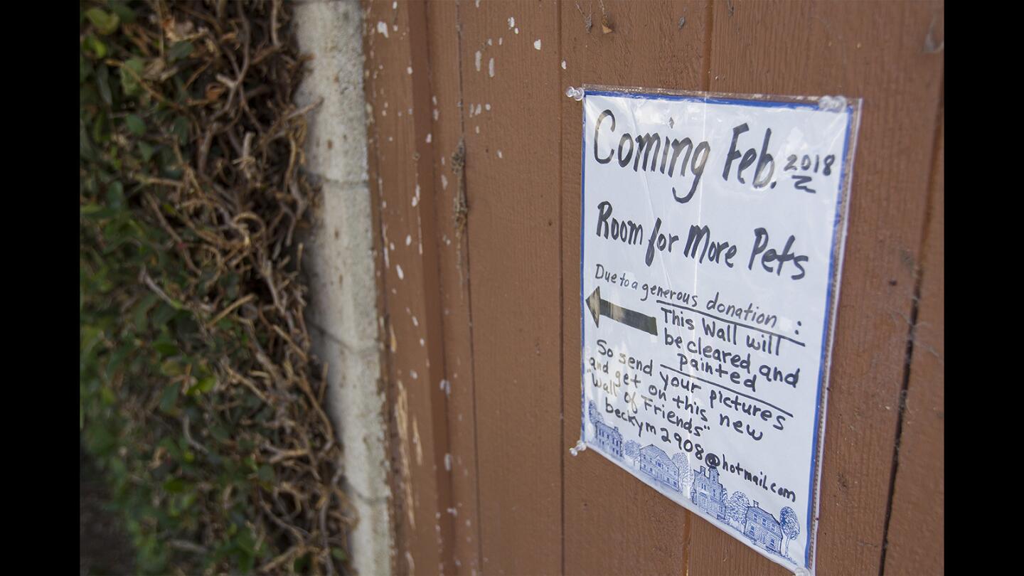 Photo Gallery: Friends of Brentwood Park dog wall
