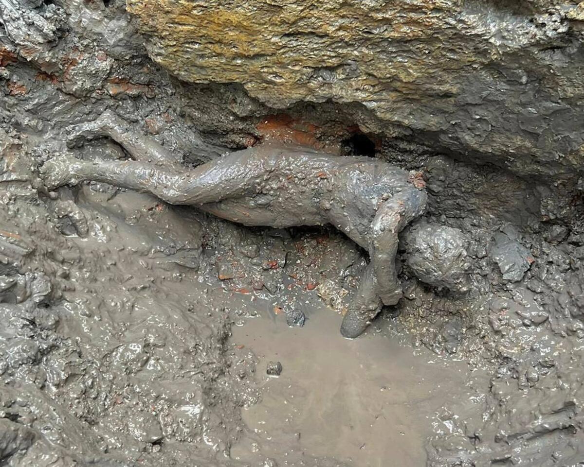 Muddy bronze statue at site of ancient thermal spring