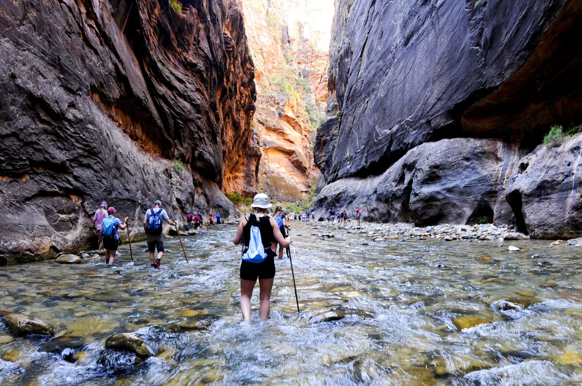 A hiker walks in the Virgin River in Zion National Park through the Narrows.