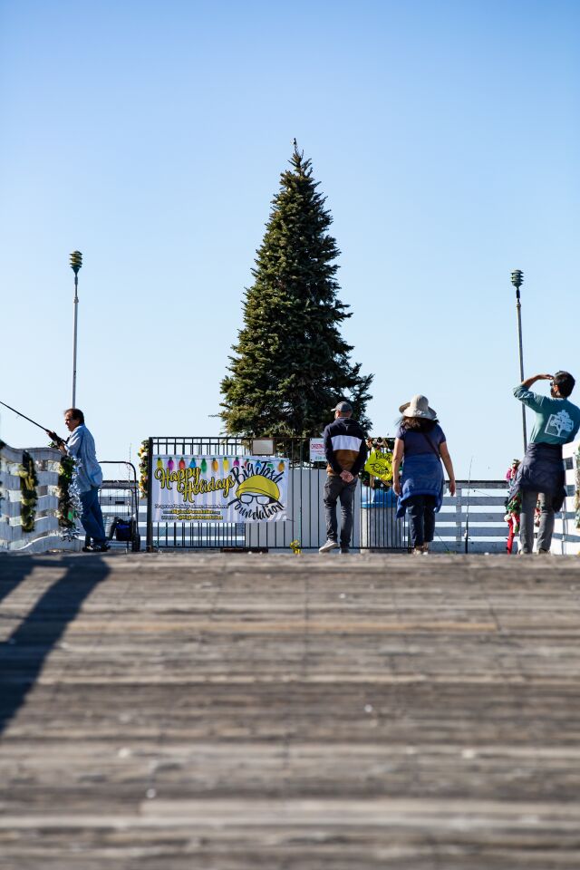 The large tree at the end of Crystal Pier is the highlight of the Christmas decor provided by Discover Pacific Beach.