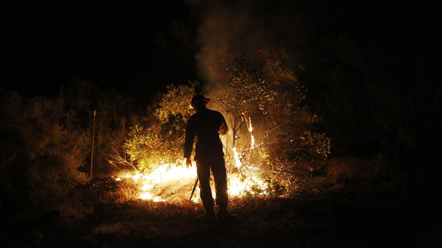 A Cal Fire firefighter stands in front of a burning bush as the Jerusalem fire burns along Morgan Valley Road on Tuesday near Lower Lake.