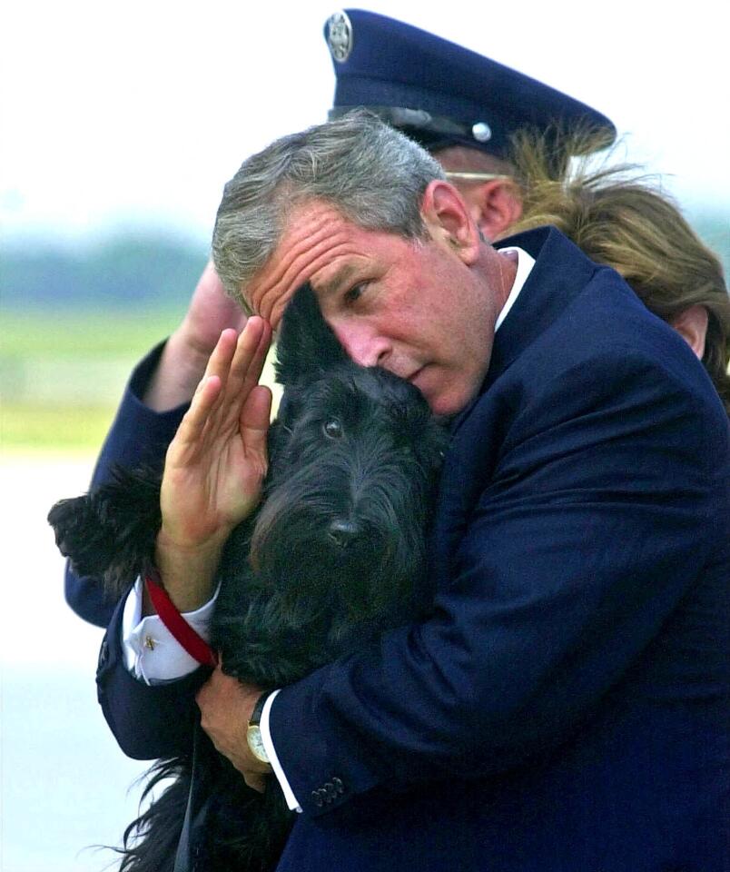 President Bush salutes while holding Barney as they get off Air Force One at Andrews Air Force Base.