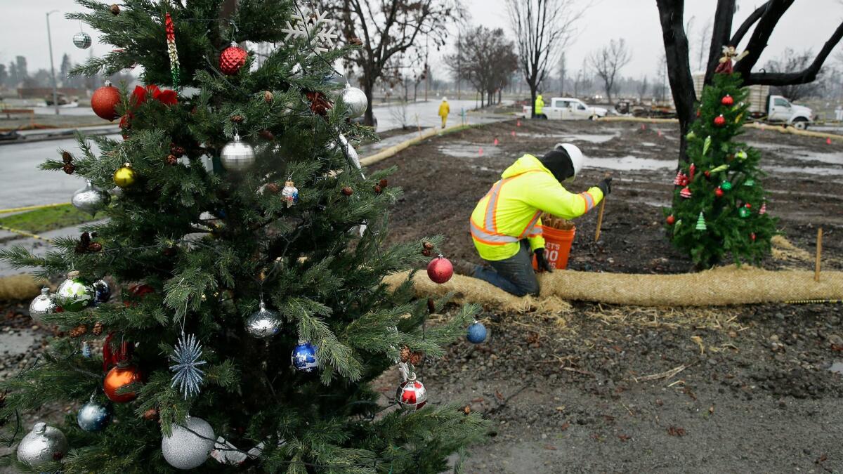 Some homeowners in Santa Rosa's burned-out Coffey Park neighborhood, above, returned to put Christmas trees on their empty lots over the holidays.