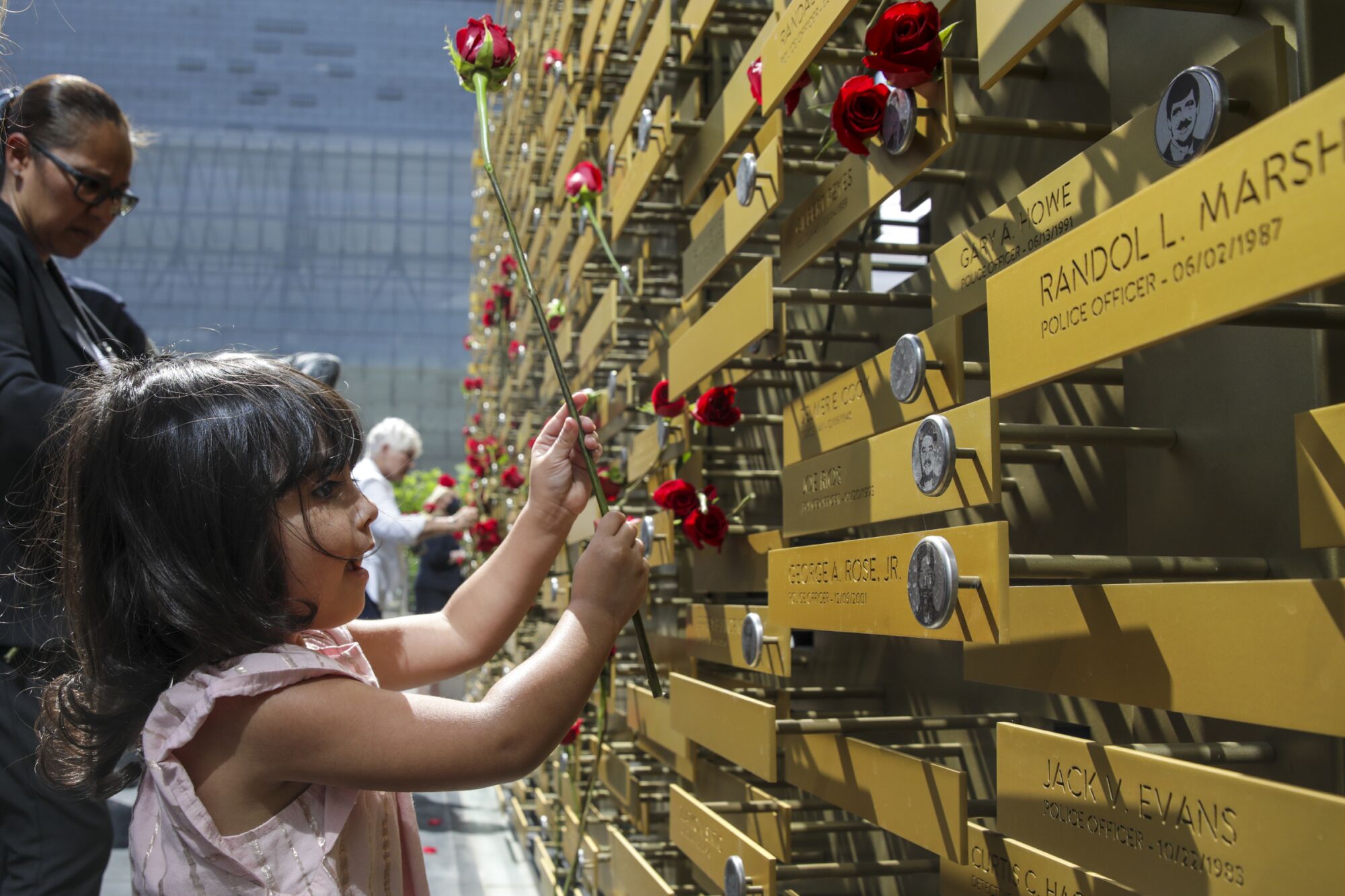 A young girl places a flower at a memorial 