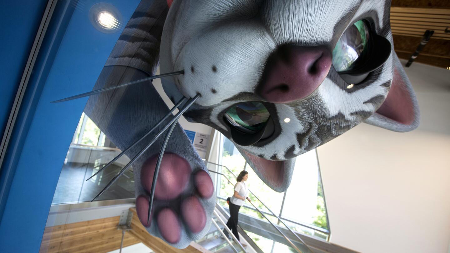 A giant animatronic cat overlooks the interior of the new PetSpace in Los Angeles.