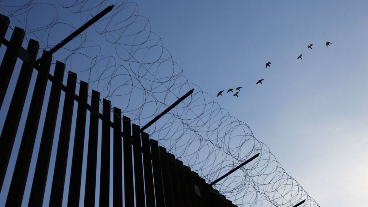 Birds fly over a newly rebuilt section of the border fence in Calexico on Wednesday.