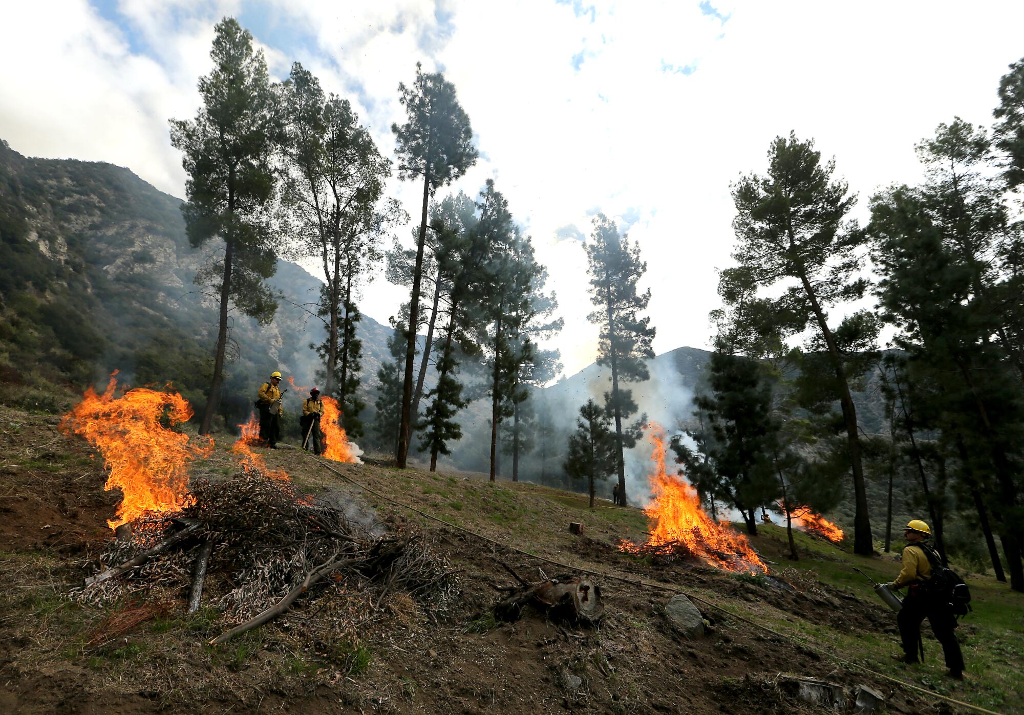 Piles of debris burn on a forested hillside.