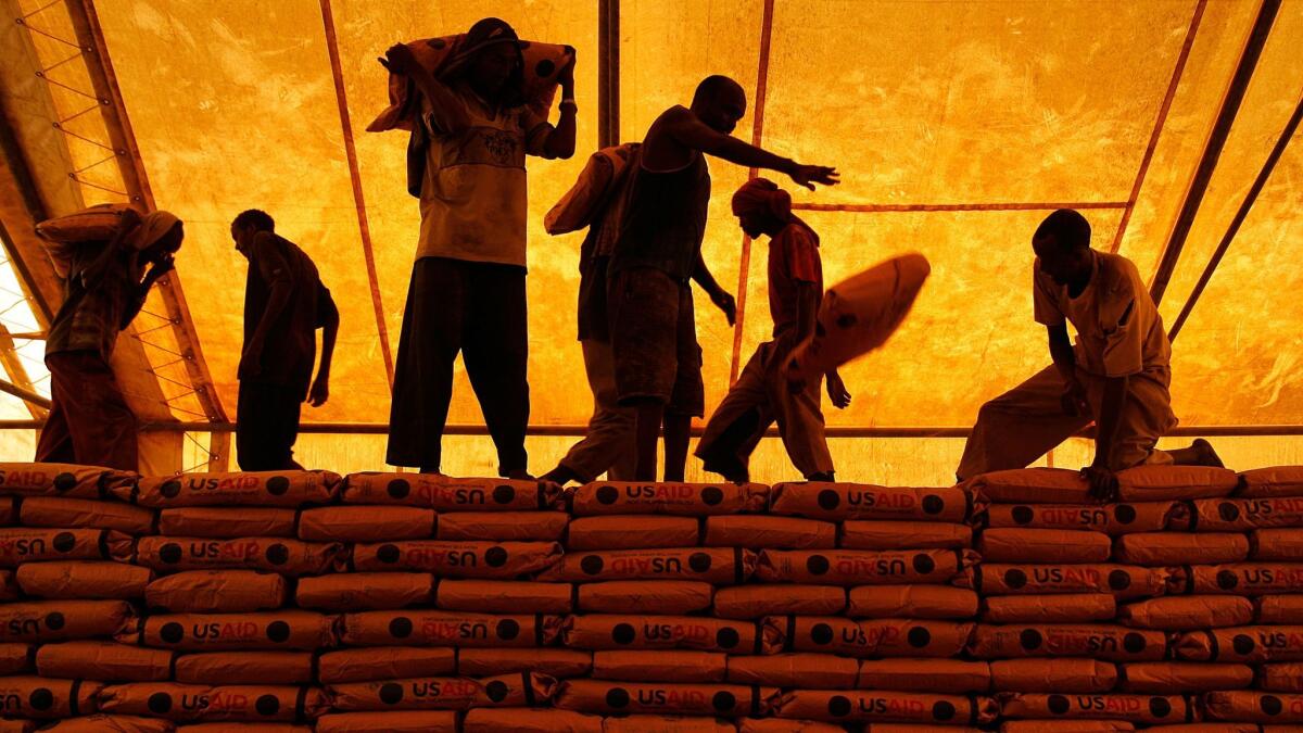 Tons of basic food supplies such as grains, flour and protein powders, donated by the U.S. Agency for International Development, are kept in secured buildings to provide for the hundreds of thousands of people at the Dadaab refugee camp in Kenya. (Rick Loomis / Los Angeles Times)