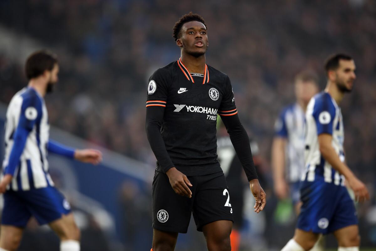 Callum Hudson-Odoi of Chelsea.