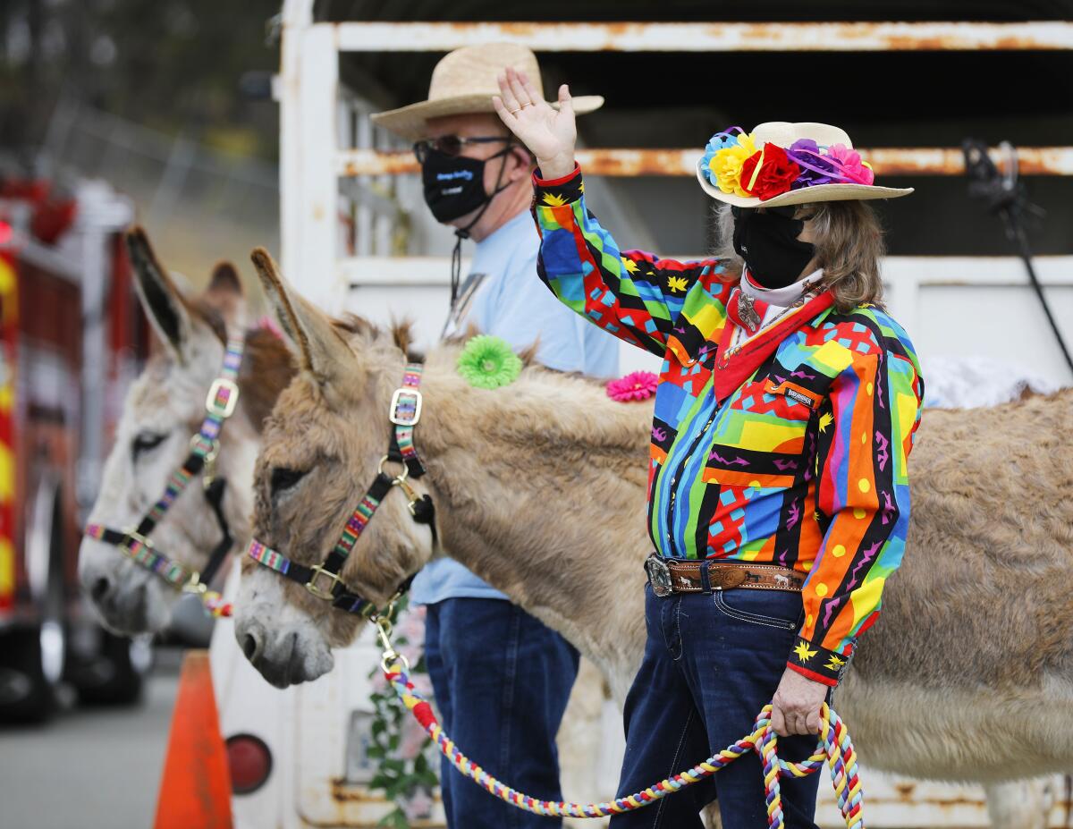 Michael and Lorri Rothbart of Party Pony Express, along with their donkeys Sasha and Comet, greet guests during a drive-through circus to celebrate the Jewish festival of Lag B'Omer at the Chabad of San Diego headquarters campus in Scripps Ranch on May 12. Thousands of people attended the event that was complete with circus acts, live music and festival floats.