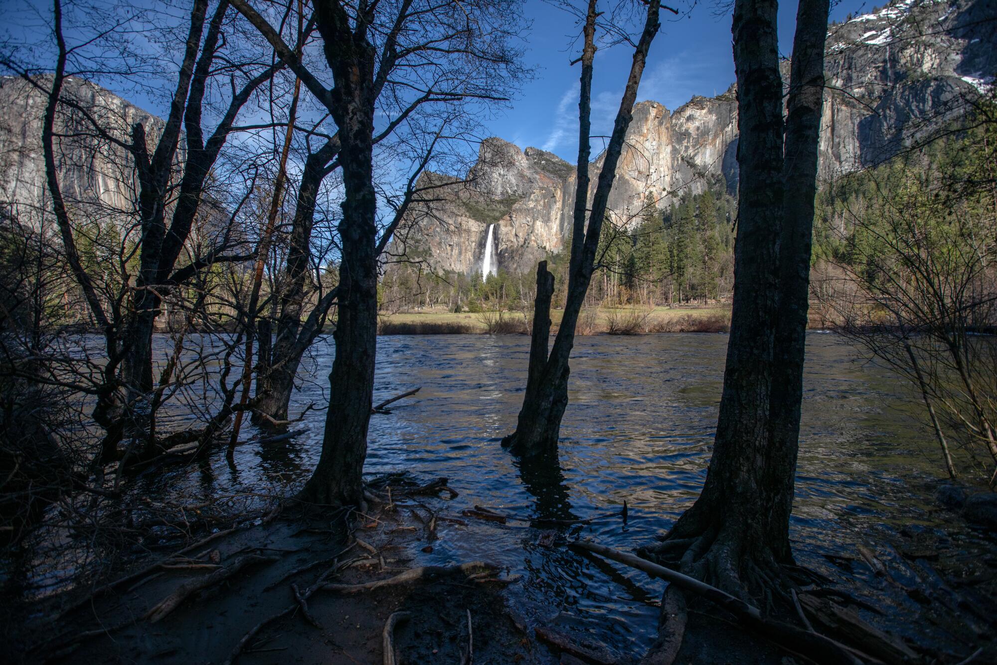 The Merced River rises around trees in Yosemite National Park