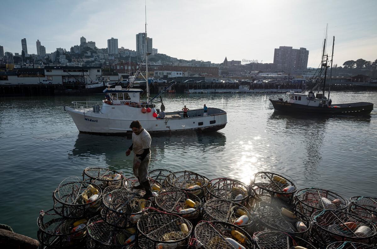 A fisherman stands on crab pots with fishing boats behind him in the water and buildings in the background