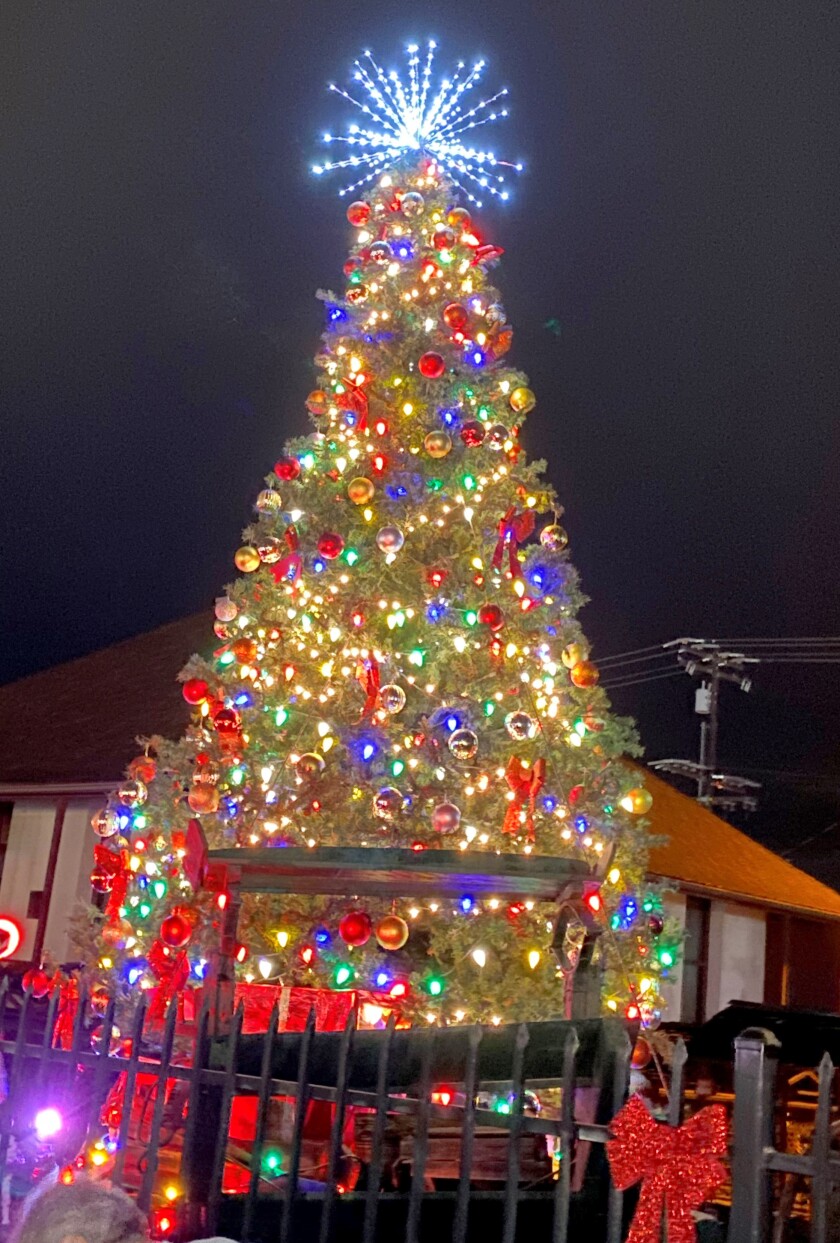The Ramona Christmas tree will light up this year at 6 p.m. Saturday, Dec. 4, at the Ramona Tree Lighting event.