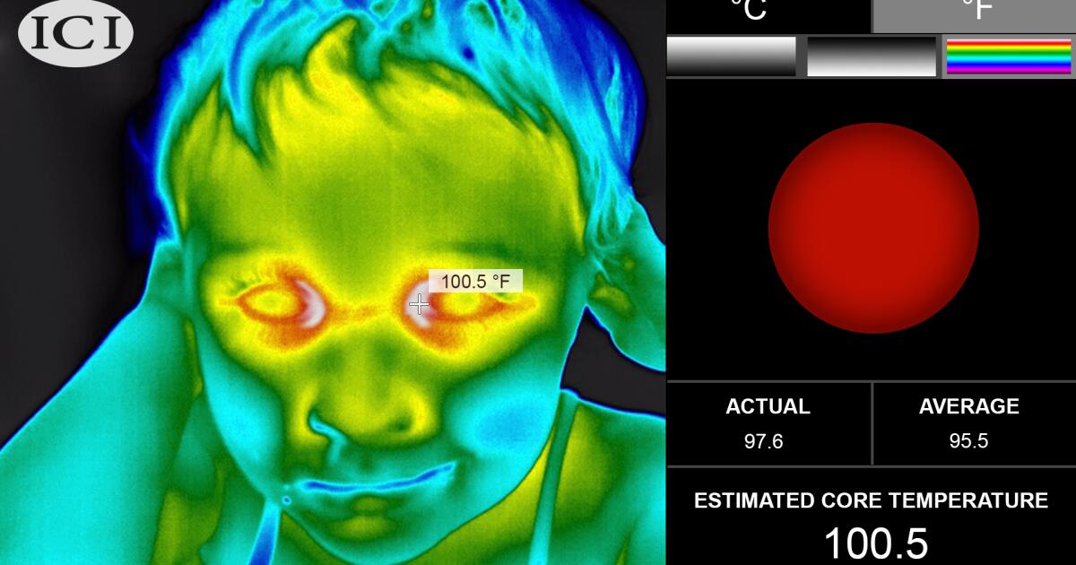 Travel, Thermometer and Covid Scanning in Airport with a Woman and  Security, Compliance and Safety Check. Health, Corona Stock Photo - Image  of digital, compliance: 259263328