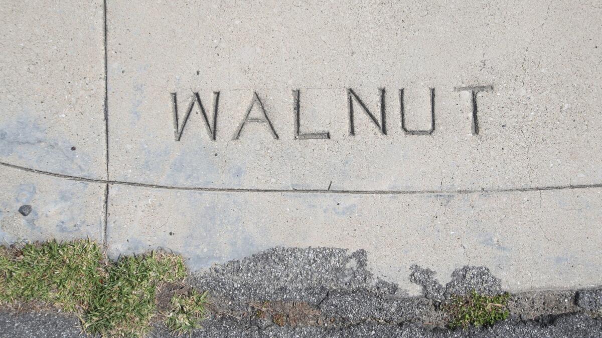 Street names like Walnut Avenue were once carved into Huntington Beach sidewalk curbs as markers.