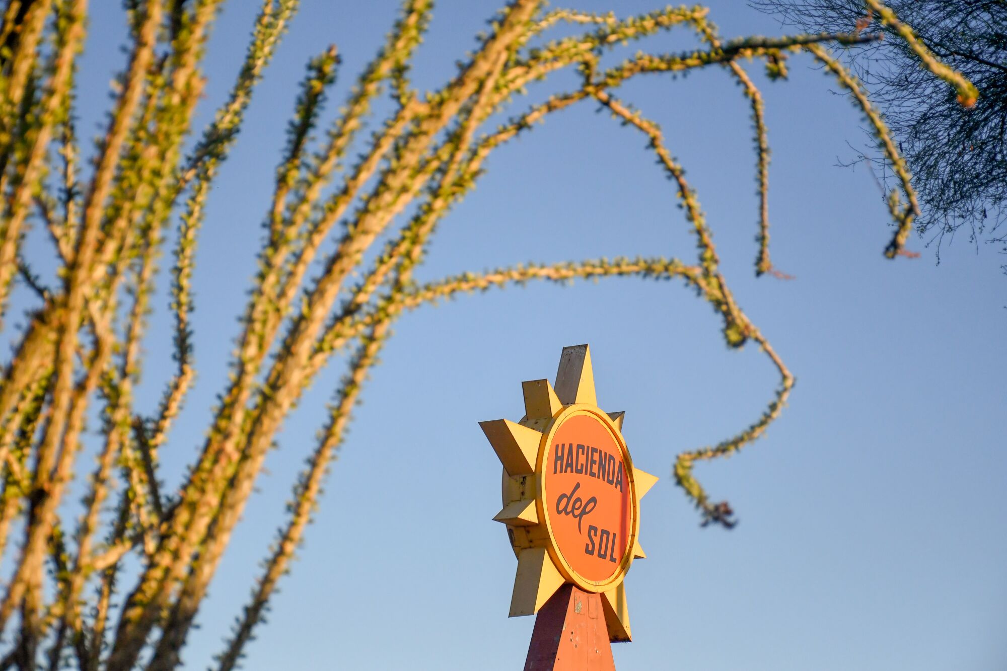 A sun-shaped motel sign for the Hacienda del Sol, framed by ocotillo branches.