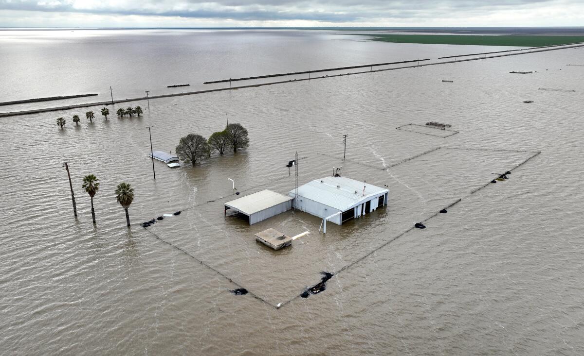 A portion of the long-dried Tulare Lake reappears in Corcoran, Calif., on March 30. 