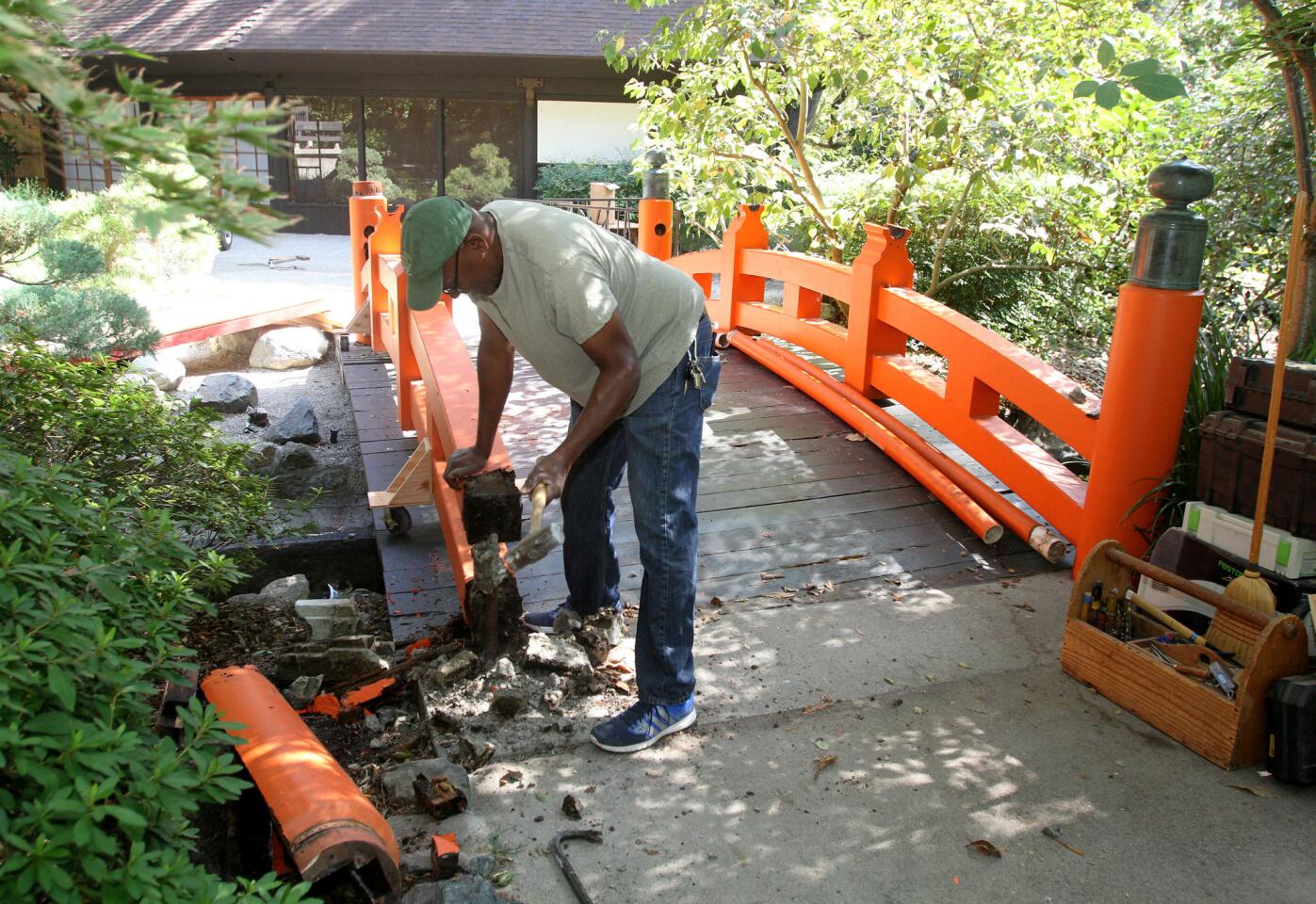 Photo Gallery: Japanese Garden bridge being restored to original specifications at Descanso Gardens