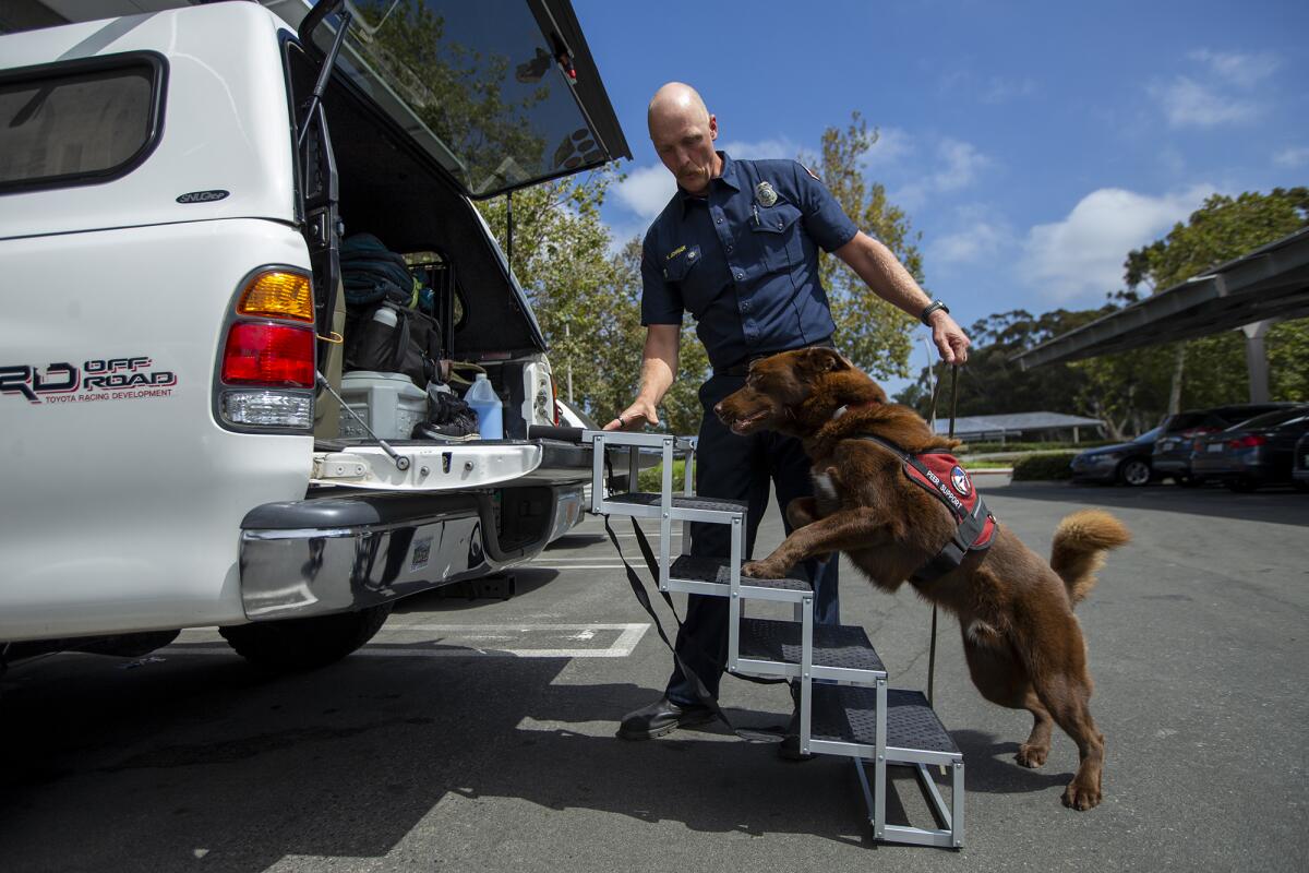 Kane Johnson, a Huntington Beach Fire Department engineer, encourages Kingman to mount up on Tuesday at the library.