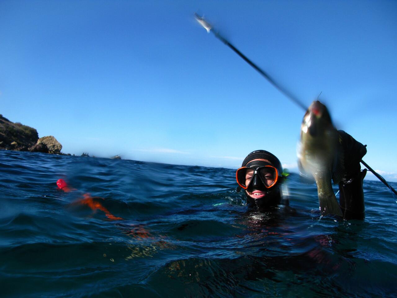 Spearfishing off Catalina Island