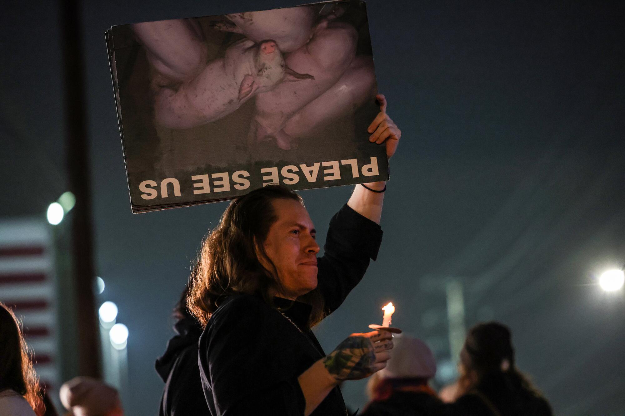 A person holding a candle and a picture of pigs with the words "please see us"