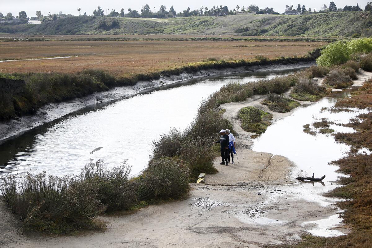 Hikers explore a partially flooded path near the Peter and Mary Muth Interpretive Center in Newport Beach. 