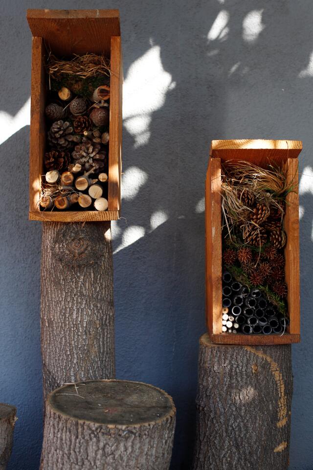 Two "bug hotels" in the side yard. A bug hotel is part garden art and part winter habitat for beneficial insects, the garden army that helps to keep the bad bugs under control.