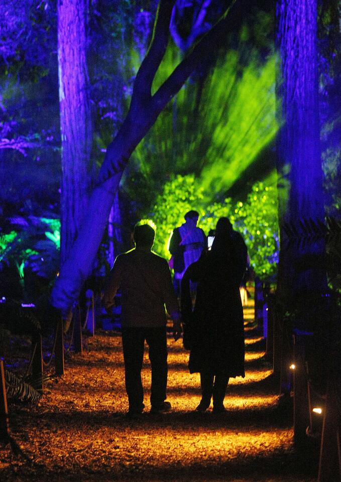 Photo Gallery: Descanso Gardens Enchanted Forest of Light