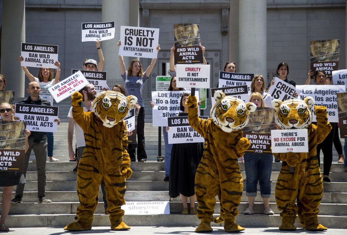 PETA urges . to ban all wild animals from circus performances - Los  Angeles Times