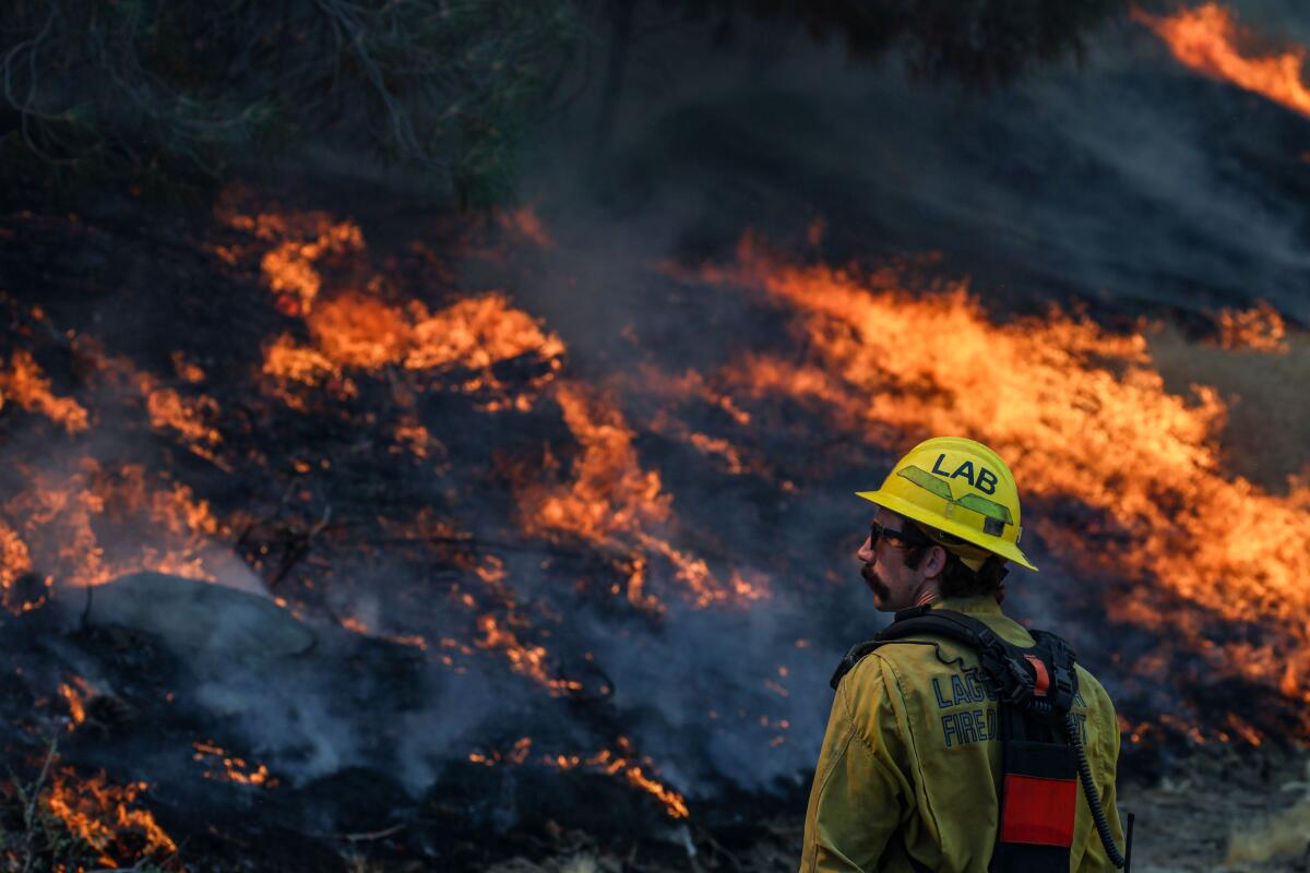 A firefighter keeps a close eye on fast-moving flames of a wildfire.
