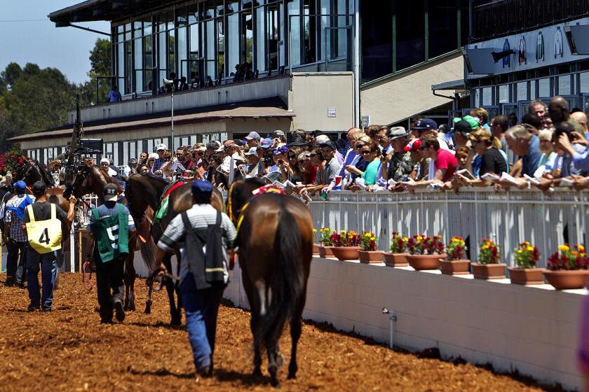 Los Alamitos Race Course offers quarter-horse as well as thoroughbred racing.