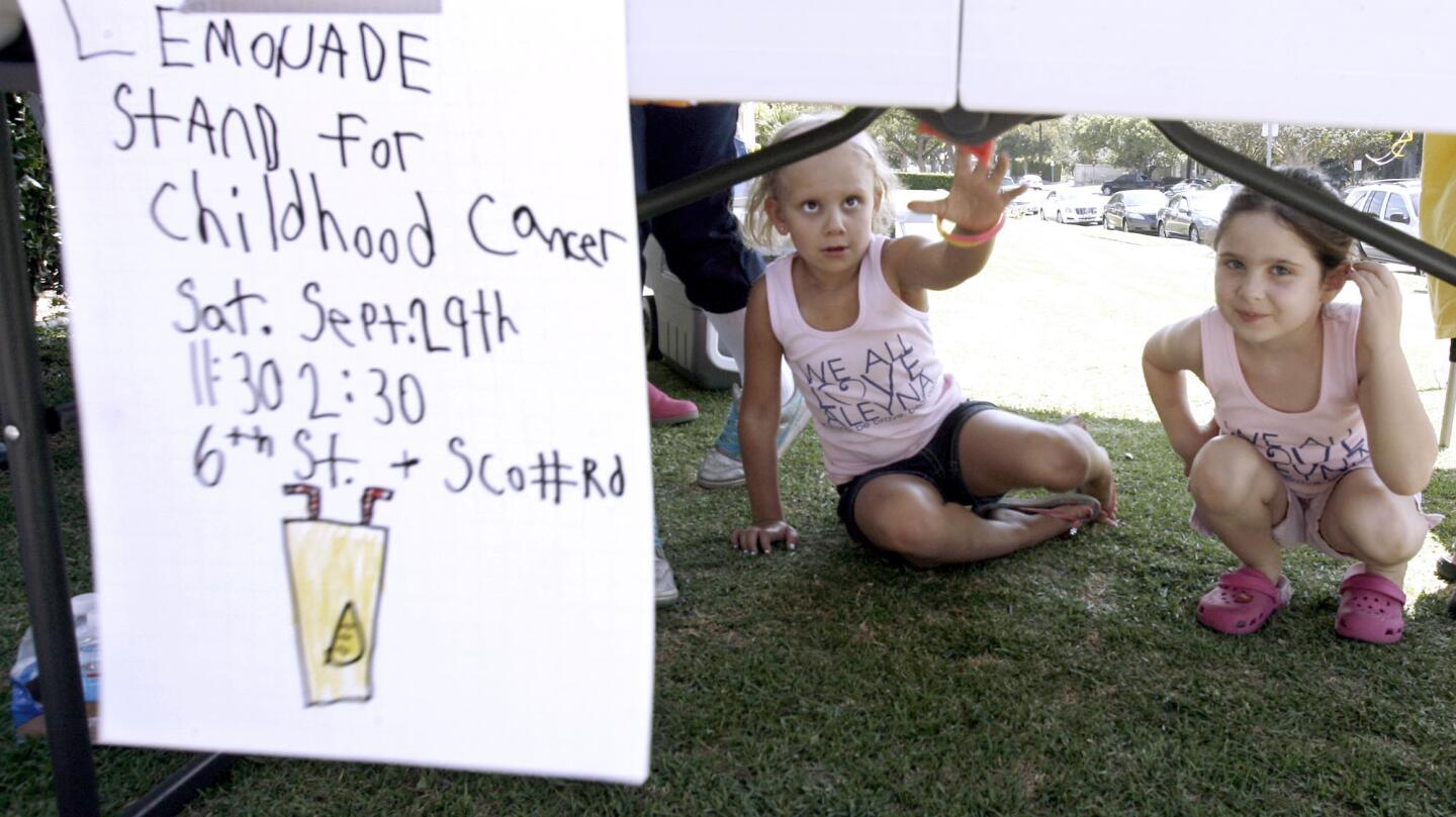 Photo Gallery: Aleyna's lemonade stand