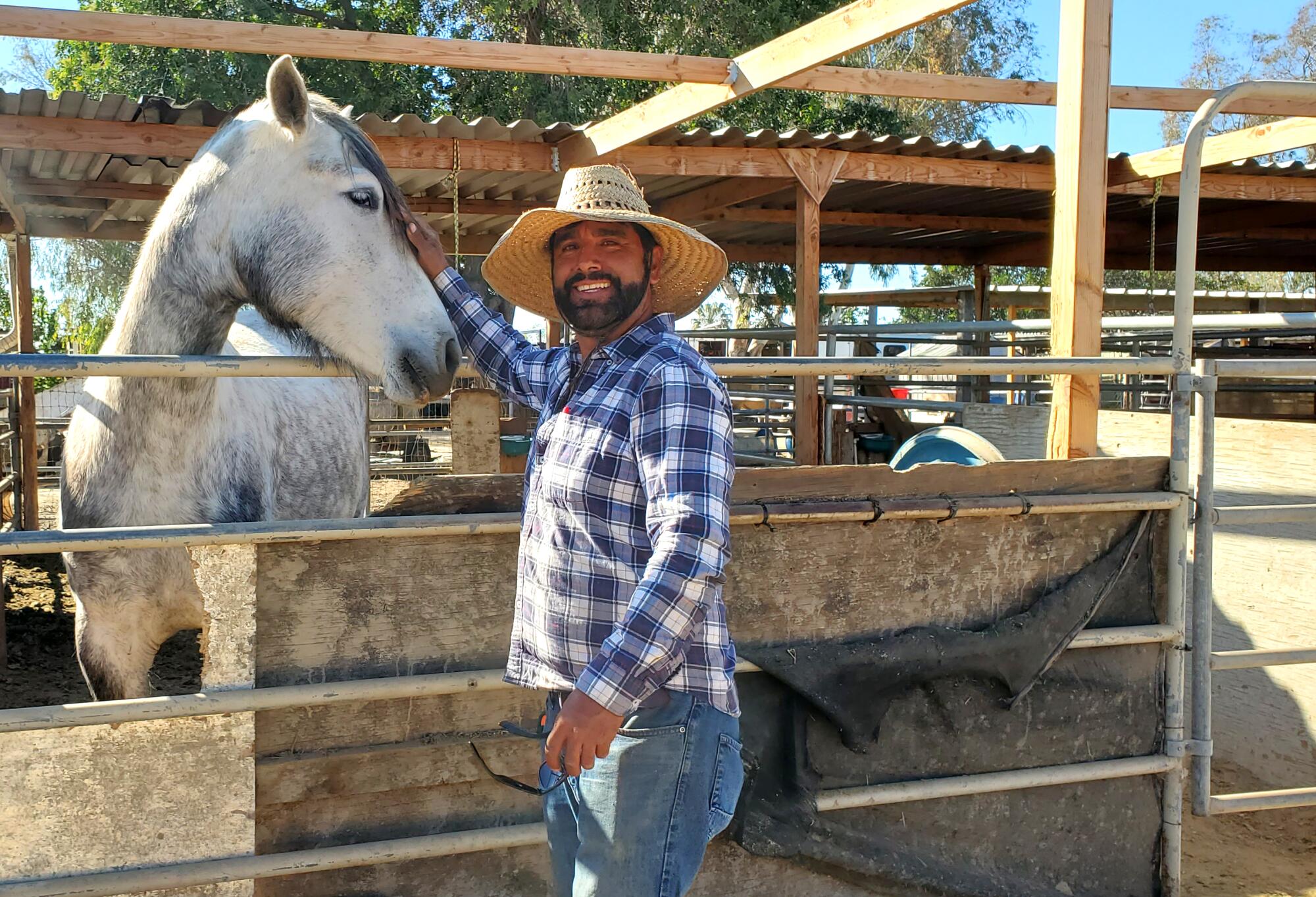A man in a straw hat pets a white and gray horse.