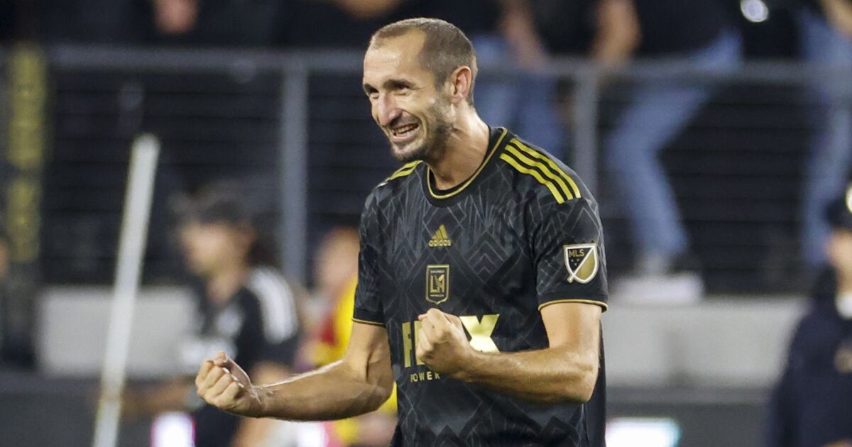 Retirement? Giorgio Chiellini too busy living the good life with LAFC to quit